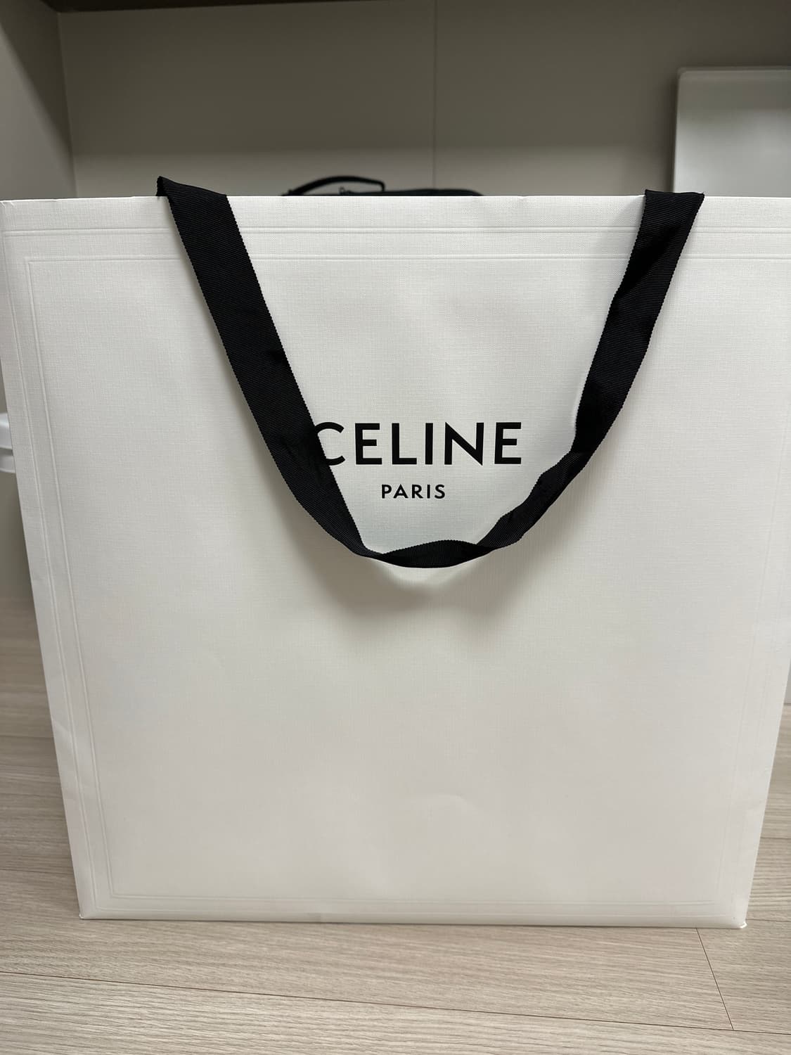 Celine 트리옹프 캔버스 백팩 새상품 풀박스 상품이미지4