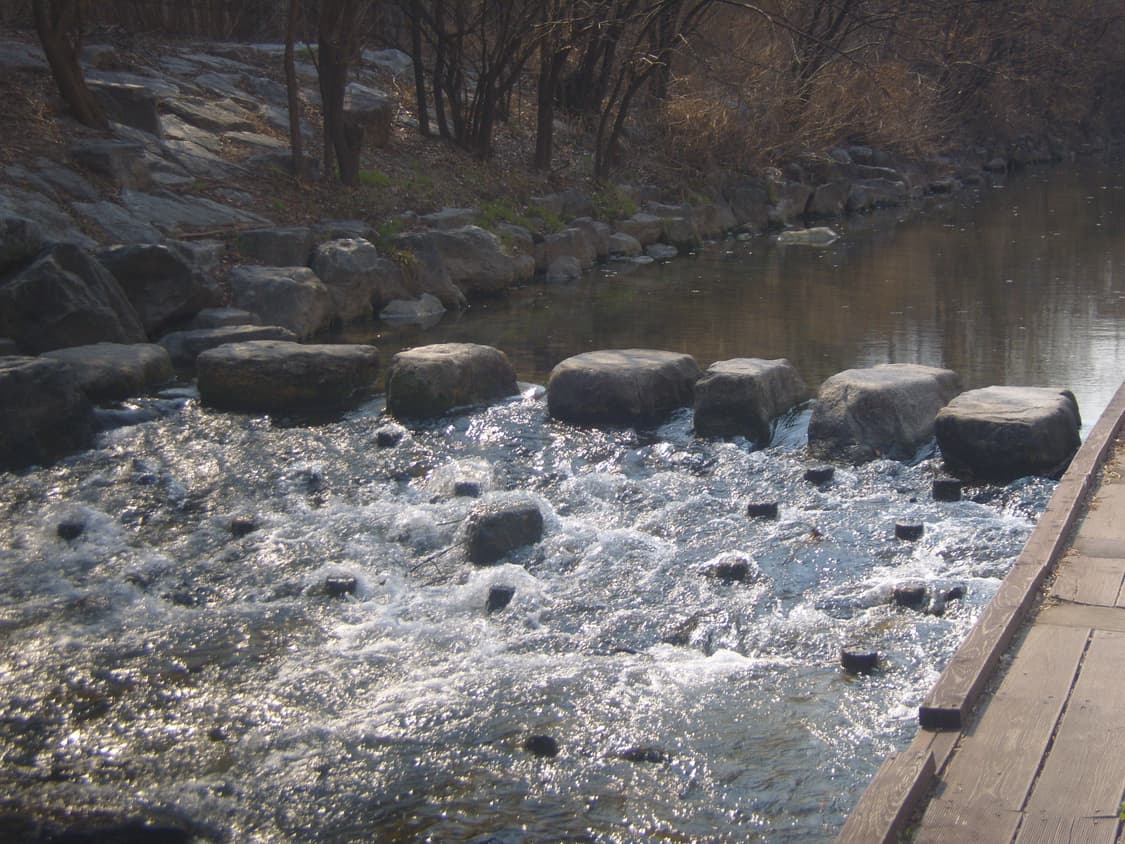 삼성 케녹스 S1030 (작례 있어요!) 상품이미지8