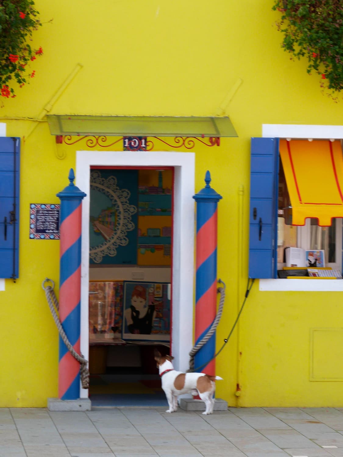 Casio QV-R61 (카시오 QV-R61) 상품이미지9