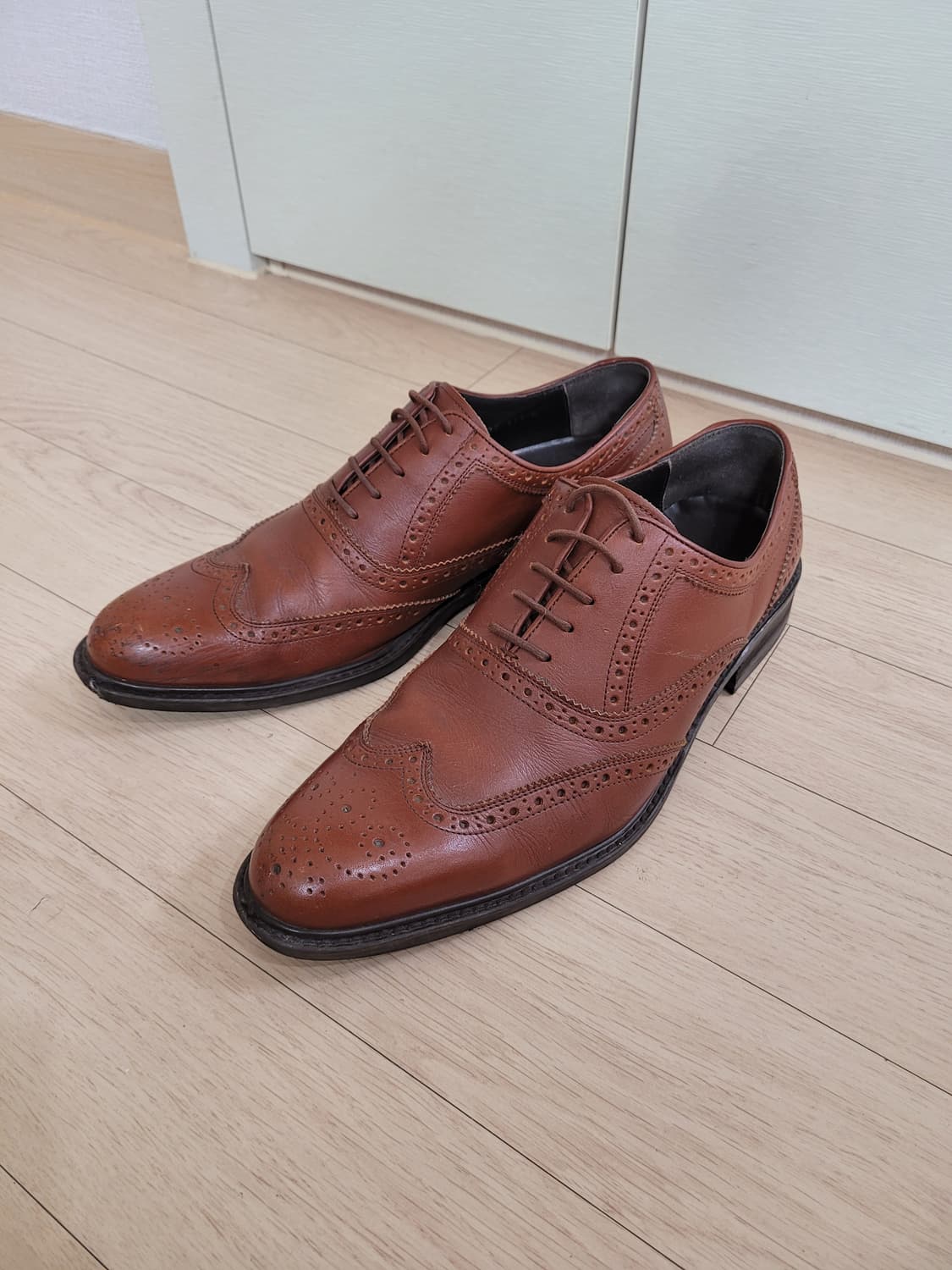 엘칸토 Elcanto 남자 윙팁 구두 로퍼 280 브라운 상품이미지1