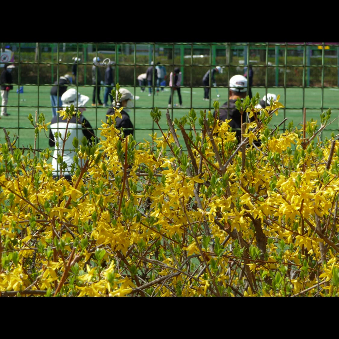 작례⭕️ 파나소닉 루믹스 DMC-TZ5 상품이미지10