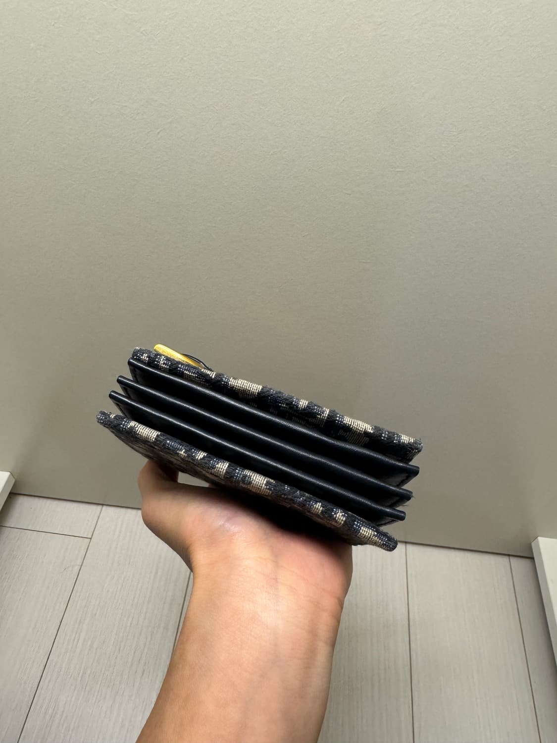 디올 오블리크 새들 지갑 상품이미지8