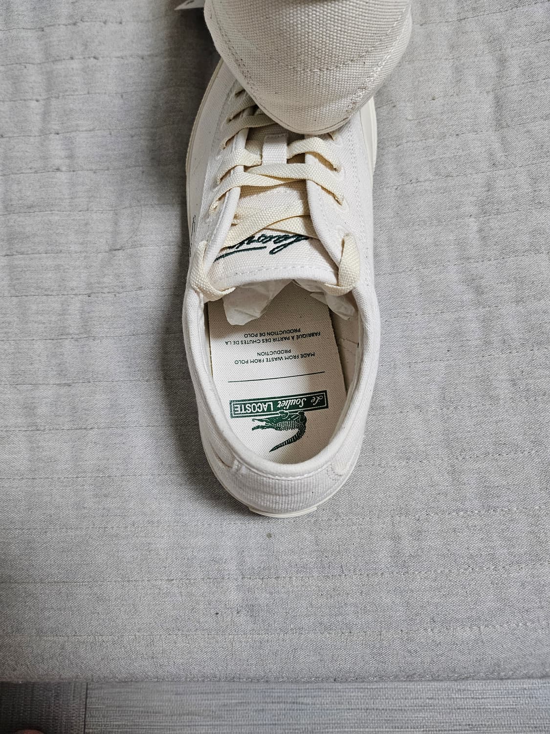 라코스테270  상품이미지6