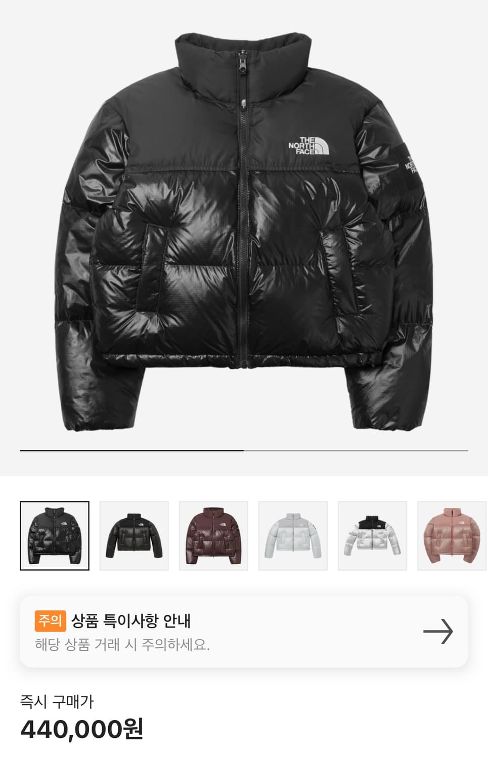 노스페이스 화이트라벨 눕시 다운 자켓 패딩 상품이미지2