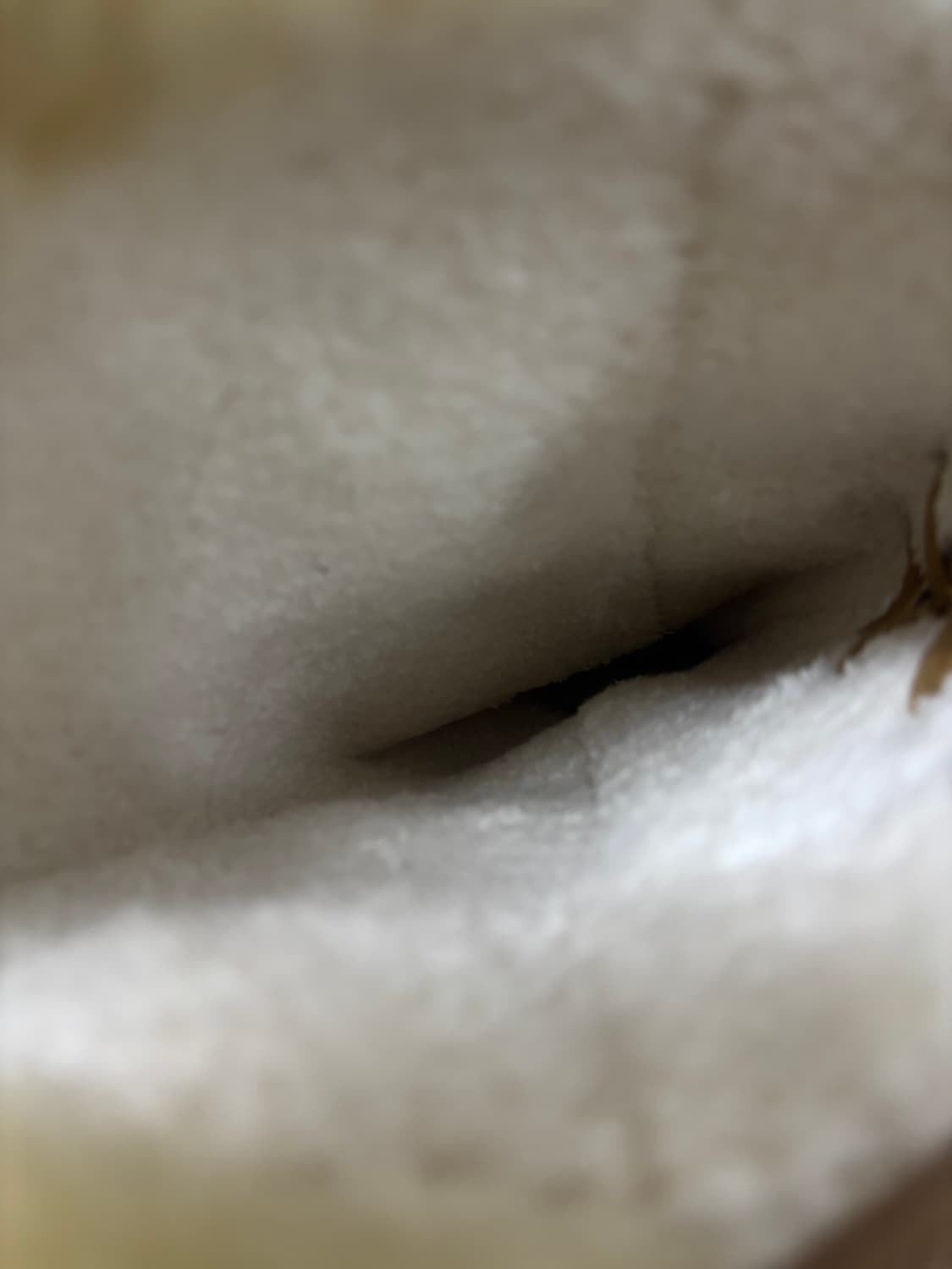 [Mori Girl] kawaii Lace Detail Beige Boo 상품이미지6