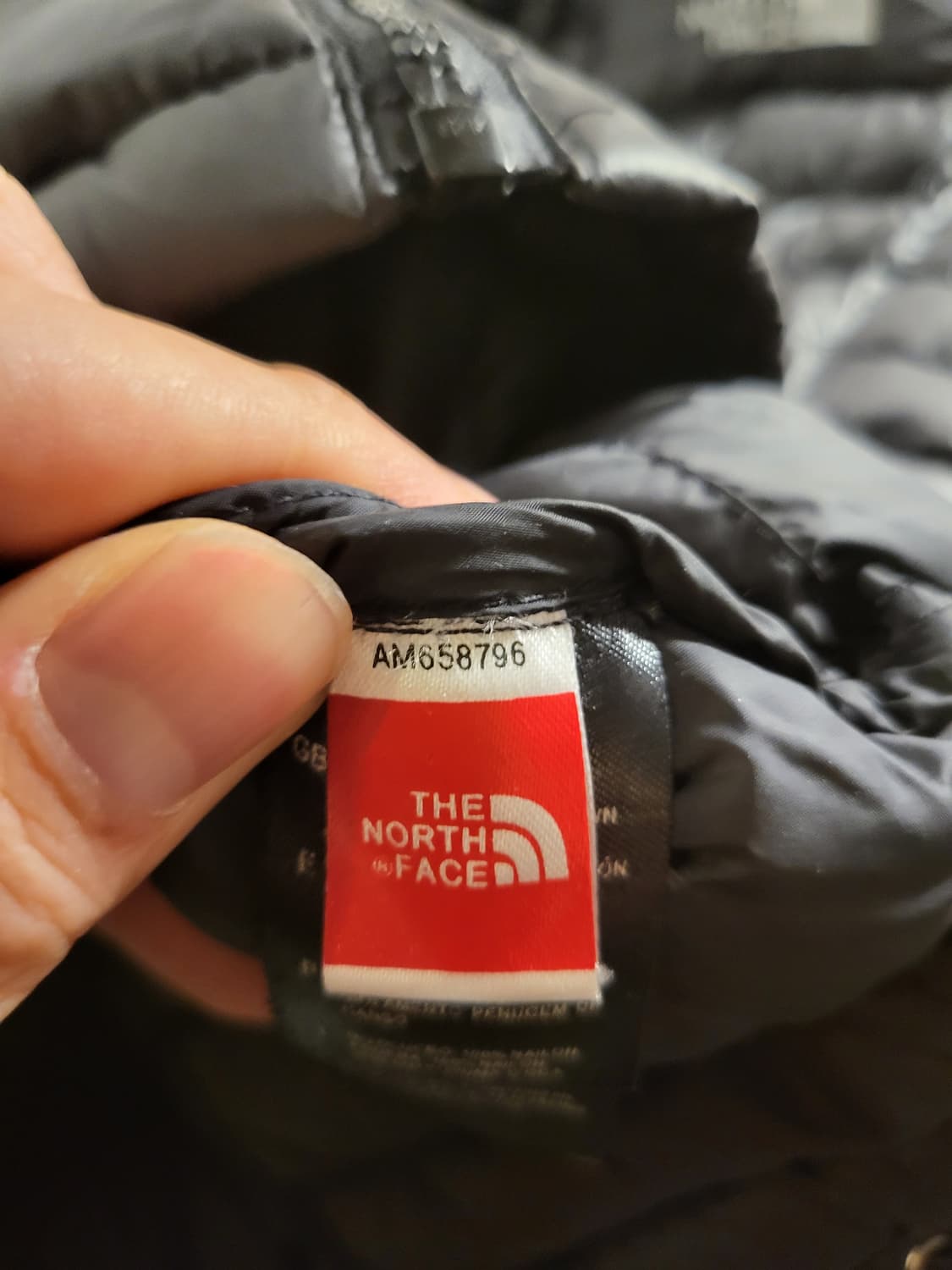 노스페이스 써밋 경량 패딩 상품이미지5