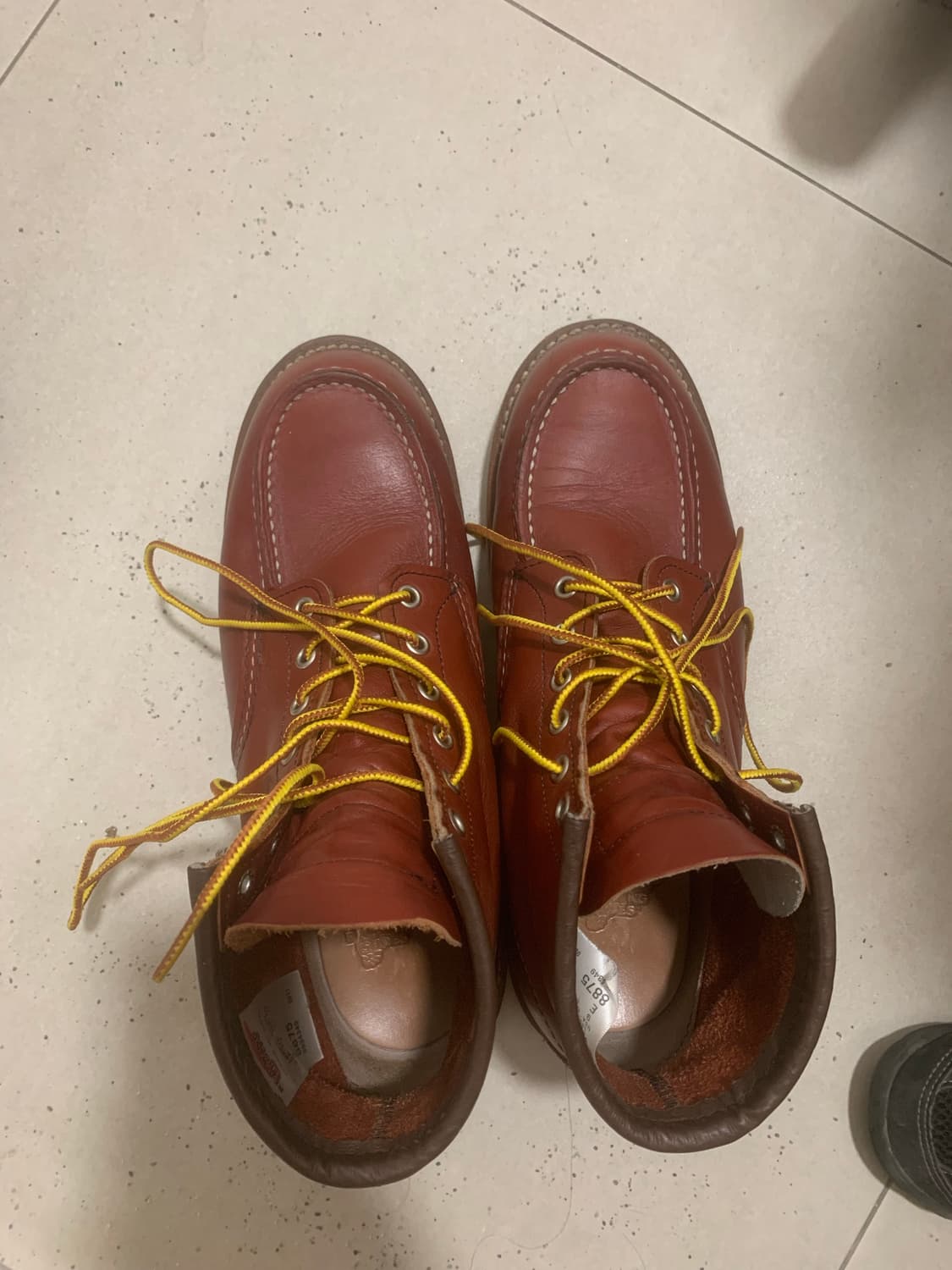 레드윙 8875 9e 아이리쉬세터 상품이미지3