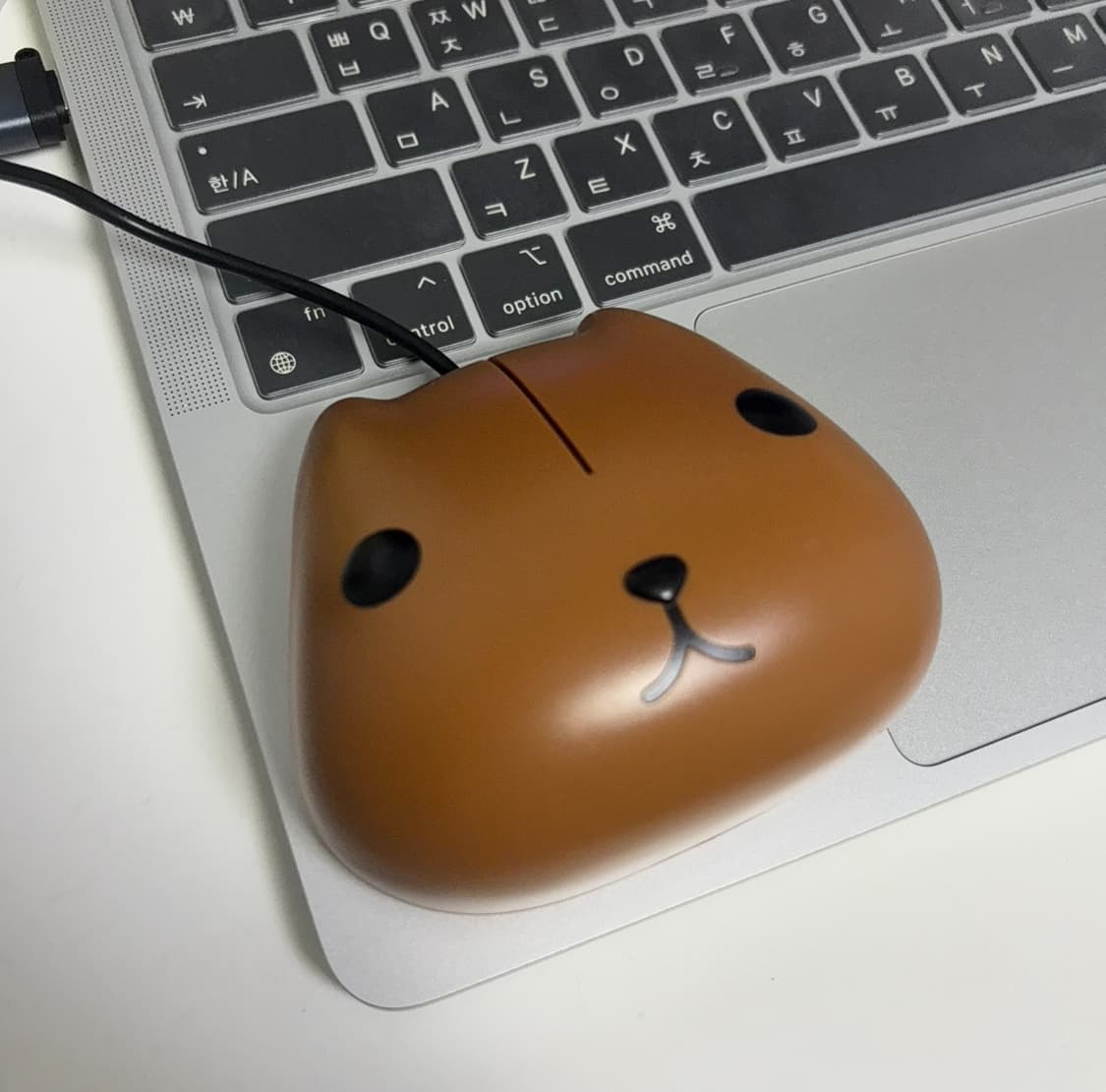카피바라상 마우스 상품이미지1