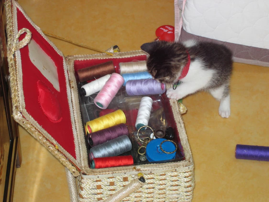 캐논 A80 디지털카메라 상품이미지10