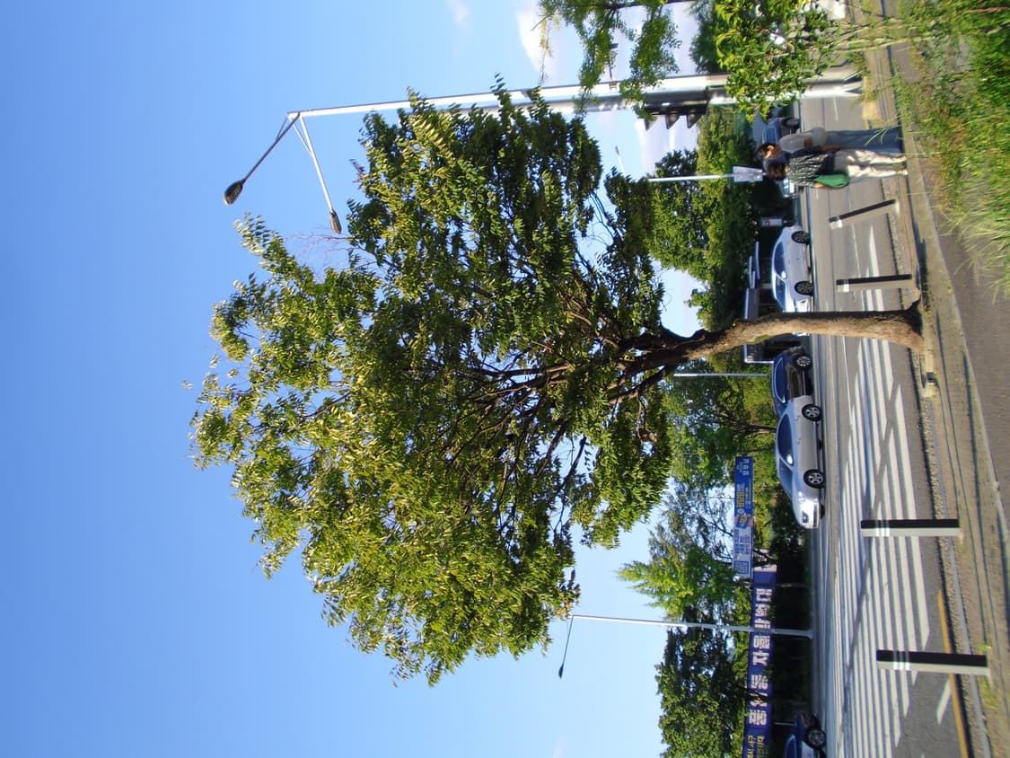 삼성 VLUU PL90 상품이미지8