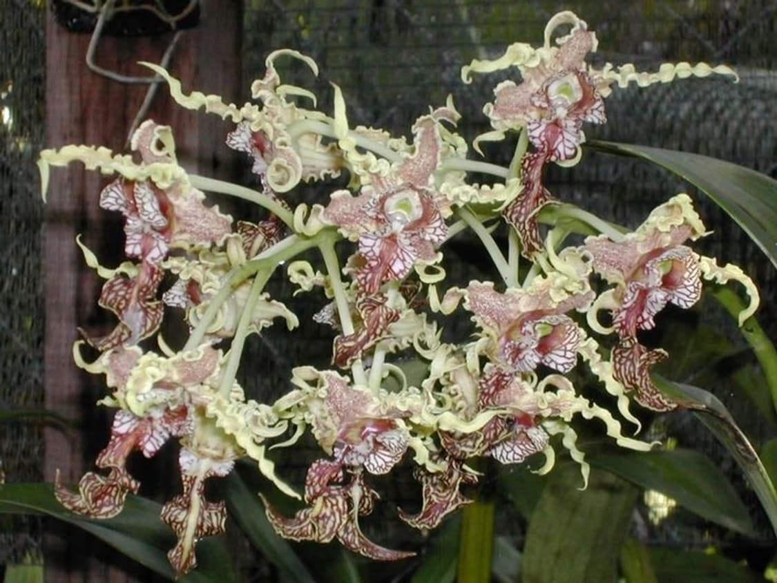 개인결제창 상품이미지1