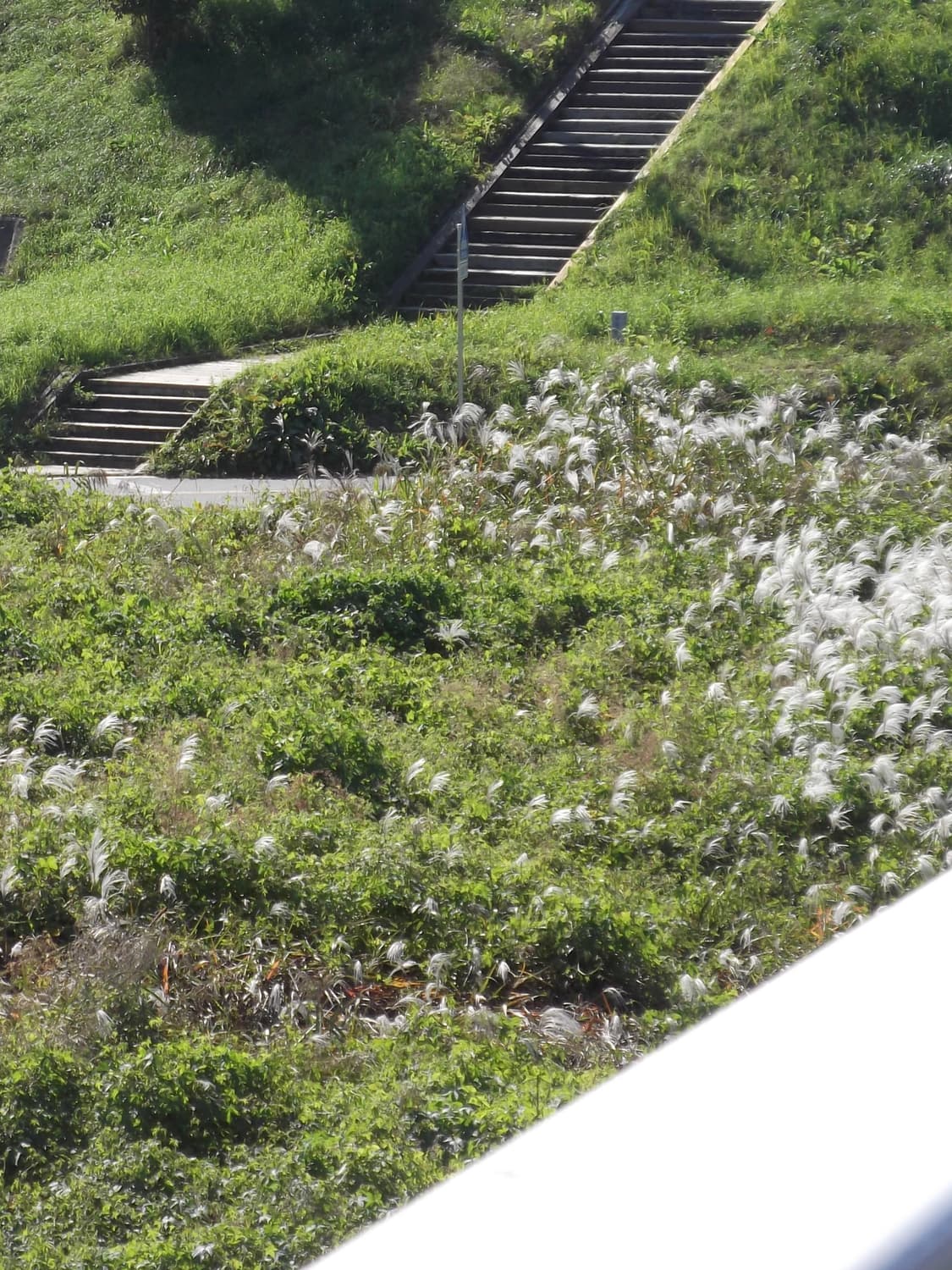 후지필름 파인픽스 jx280 핑크디카 상품이미지9