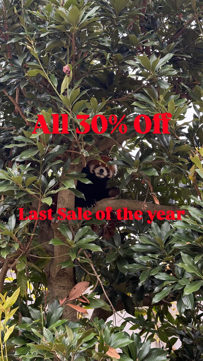 🔥🔥All 30% Off🔥🔥 상품이미지1