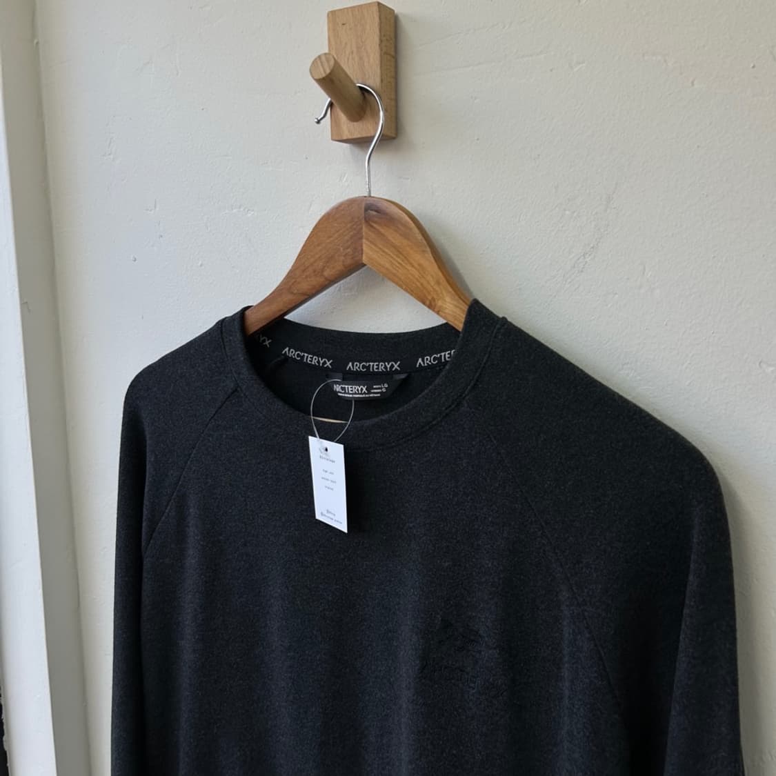 15450 - 아크테릭스 엠블럼 플리스 풀오버 상품이미지1