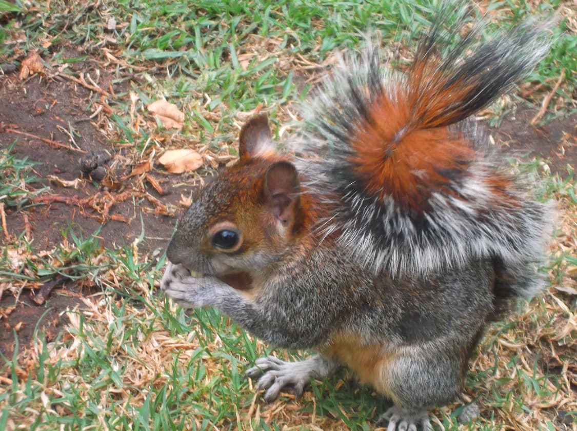 (한국어 지원🫧) 후지필름 파인픽스 FinePix JX400 상품이미지9