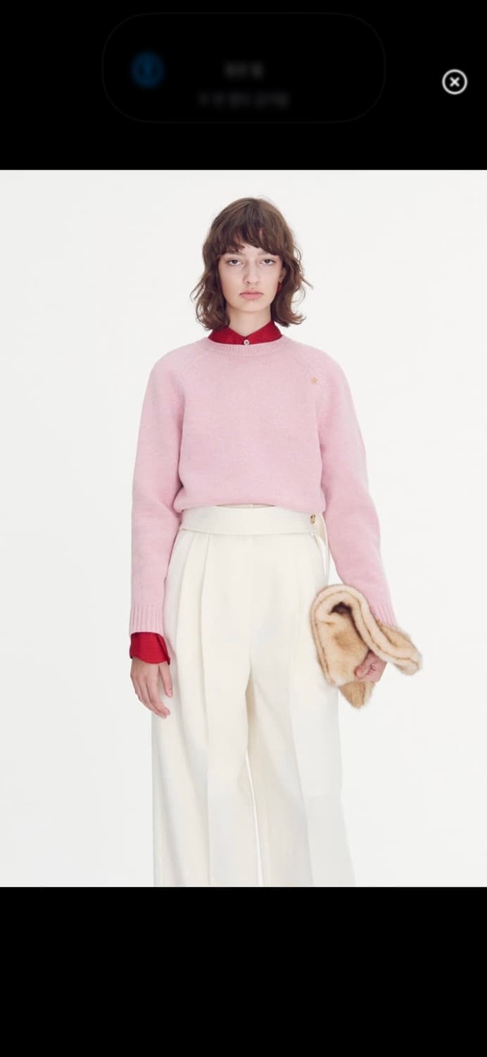 렉토니트 상품이미지2