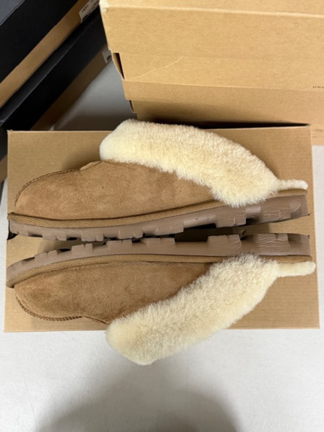 [ 290 ] 어그 코케트 체스트넛 남성용 상품이미지6