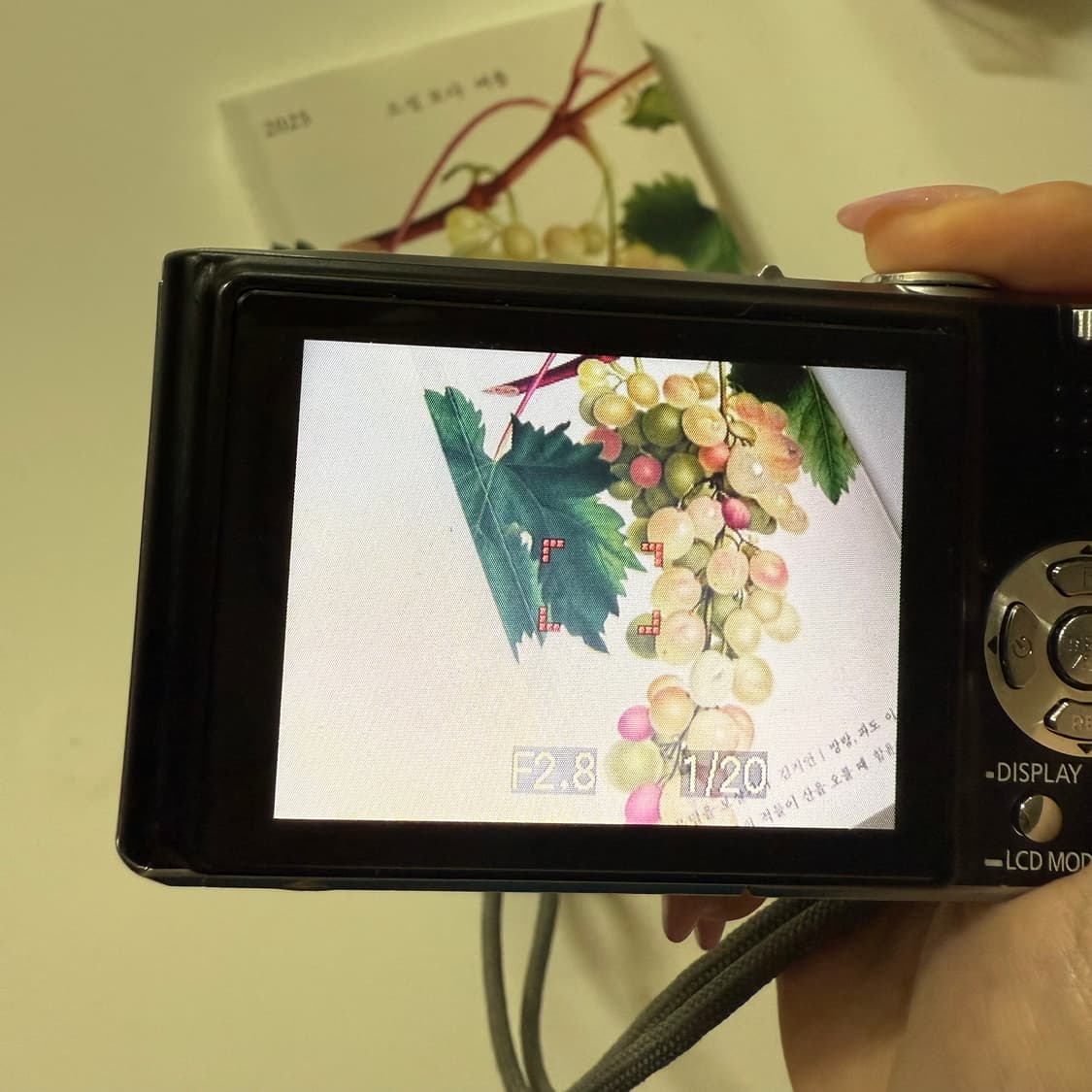 파나소닉 루믹스 fx33 빈티지 디카 상품이미지5