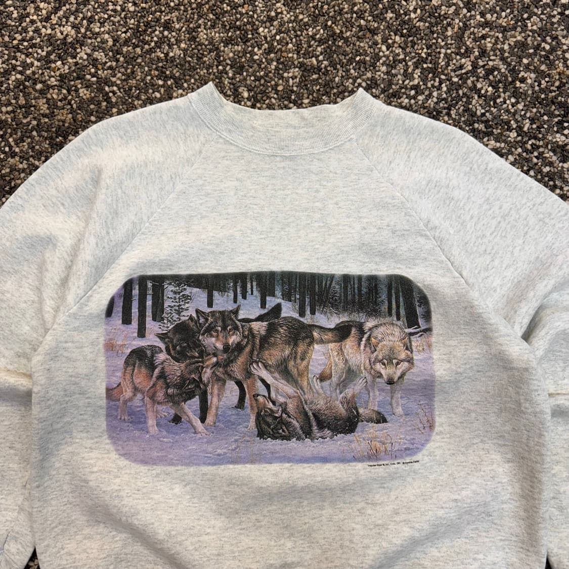 90s 프룻오브더룸 늑대무리 스웻셔츠 맨투맨 made in USA (L) 상품이미지2