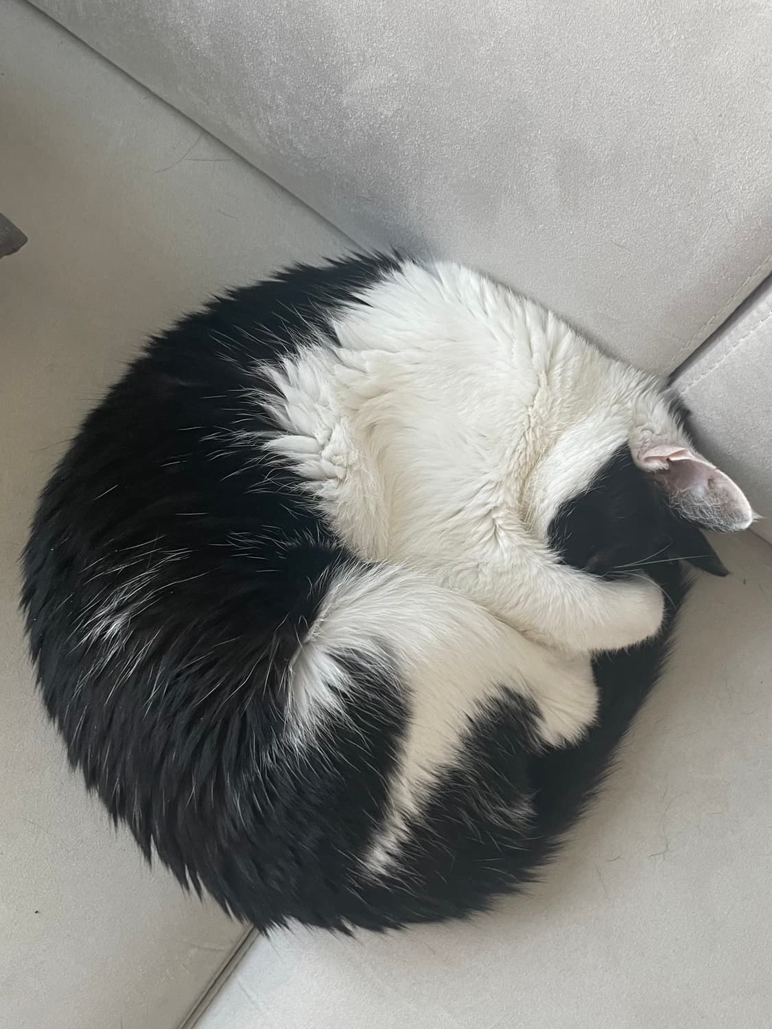 결제창 상품이미지1