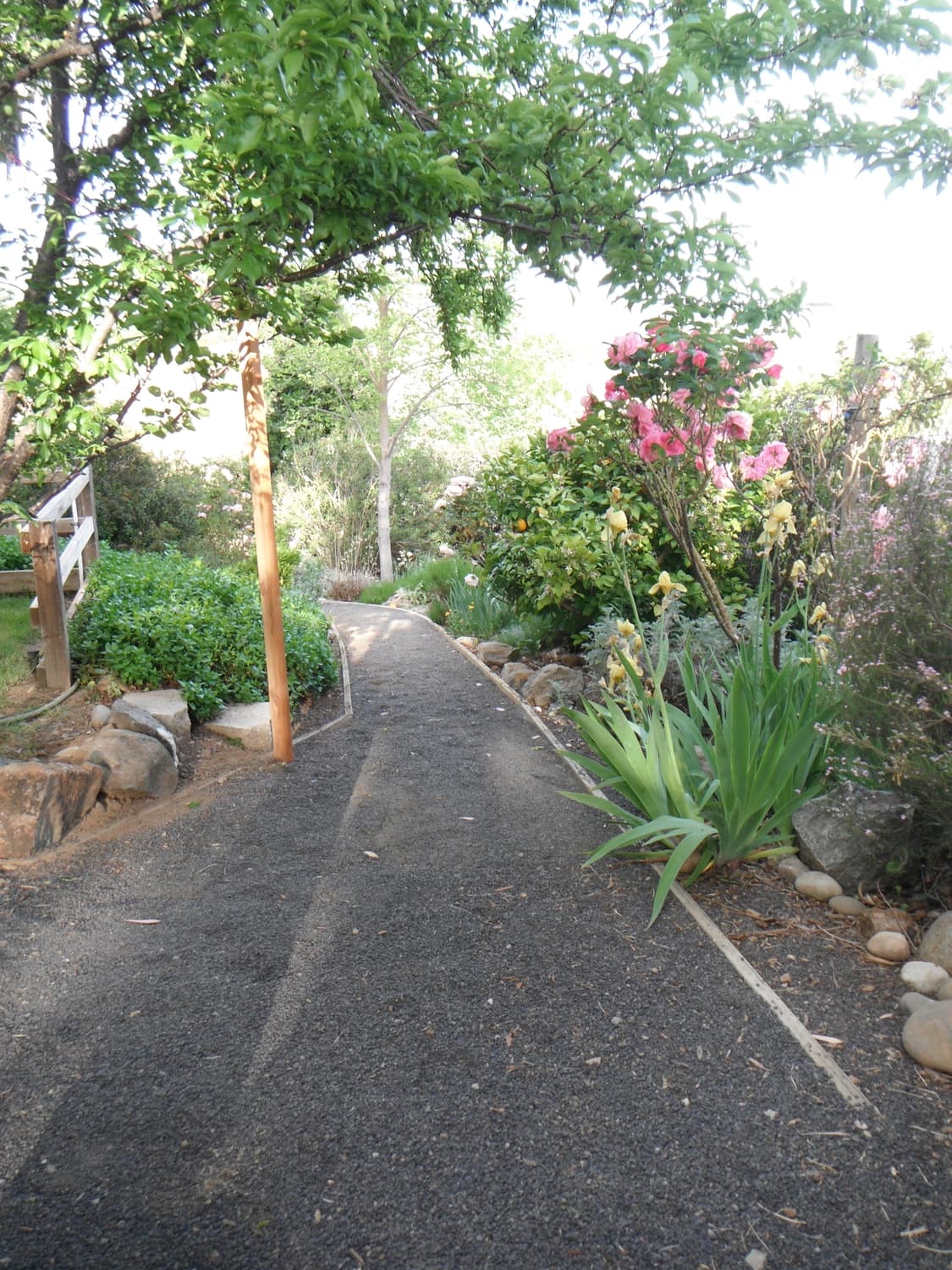 작례O) 후지필름 파인픽스 XP20 디지털 카메라 상품이미지2