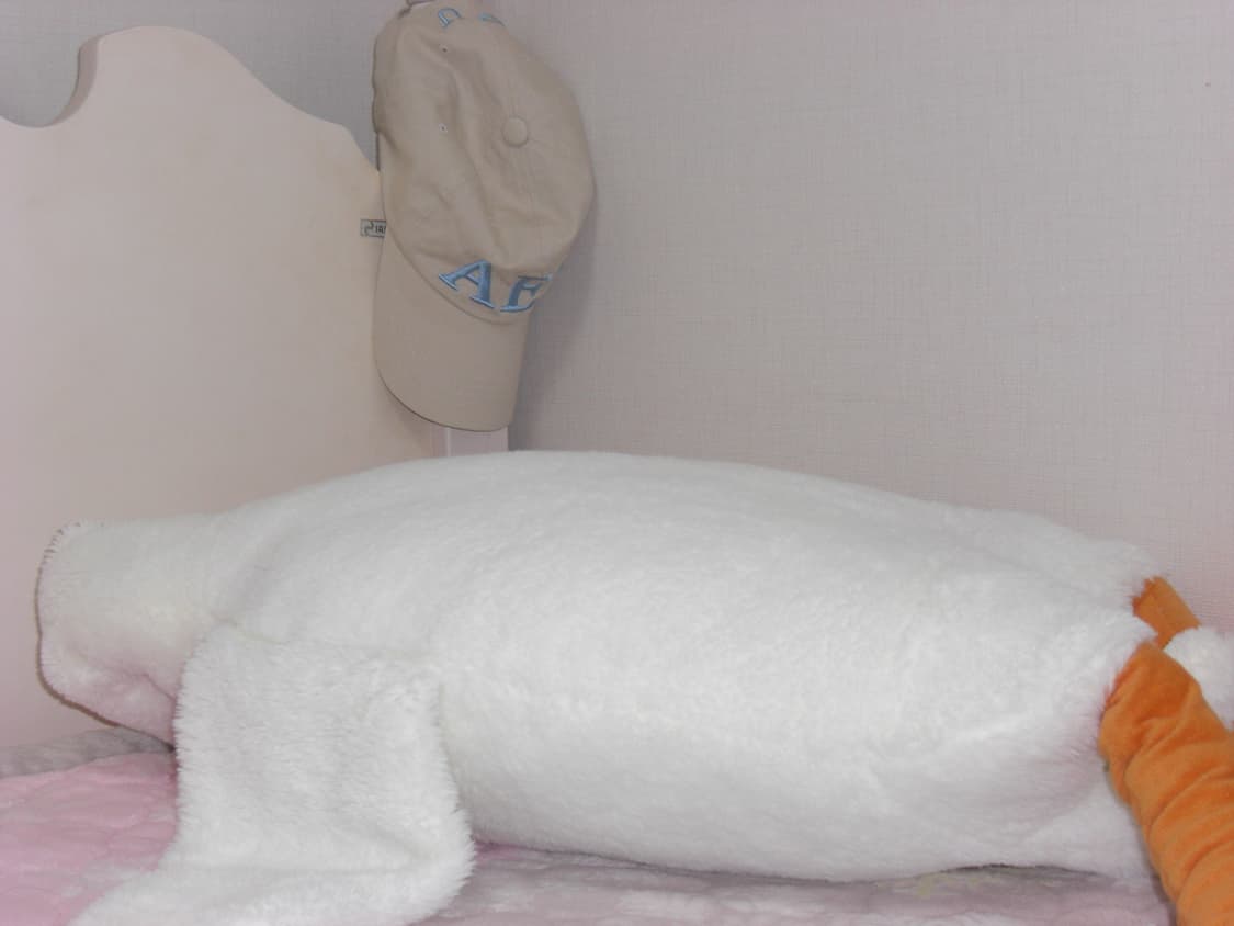 Casio ex-z1080 상품이미지3