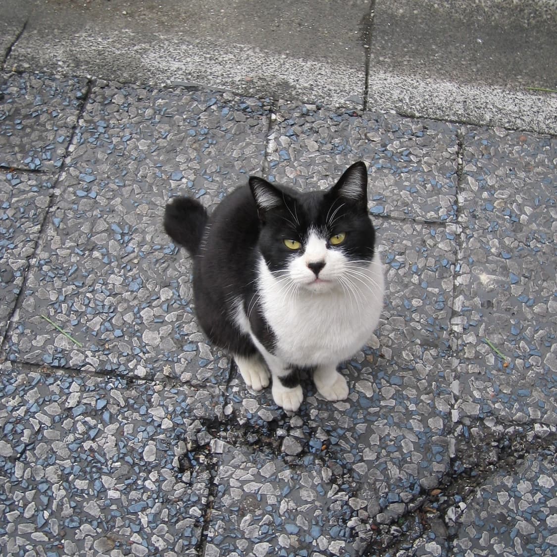 IXY L(✨민트급/🎁풀패키지) 상품이미지10