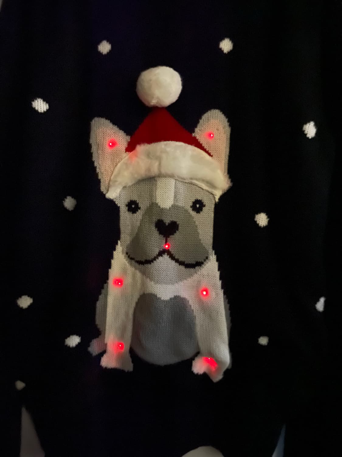 LED 크리스마스 산타강아지니트:) 크리스마스룩연말룩데이트룩스웨터 상품이미지3