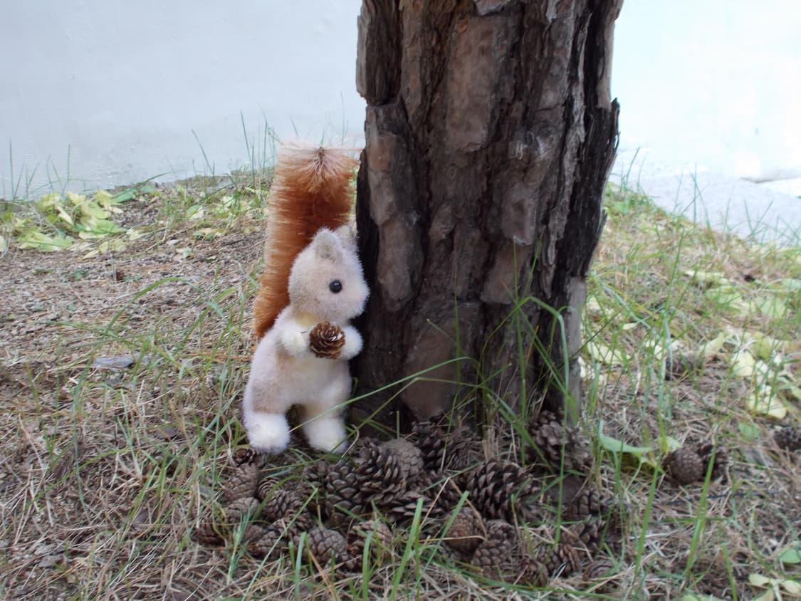 니콘 쿨픽스 COOLPIX L26 (작례 o) 상품이미지10