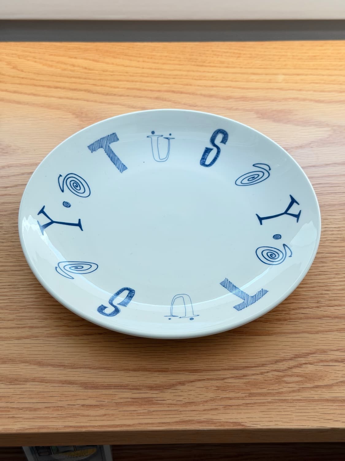 스투시 플레이트 상품이미지1