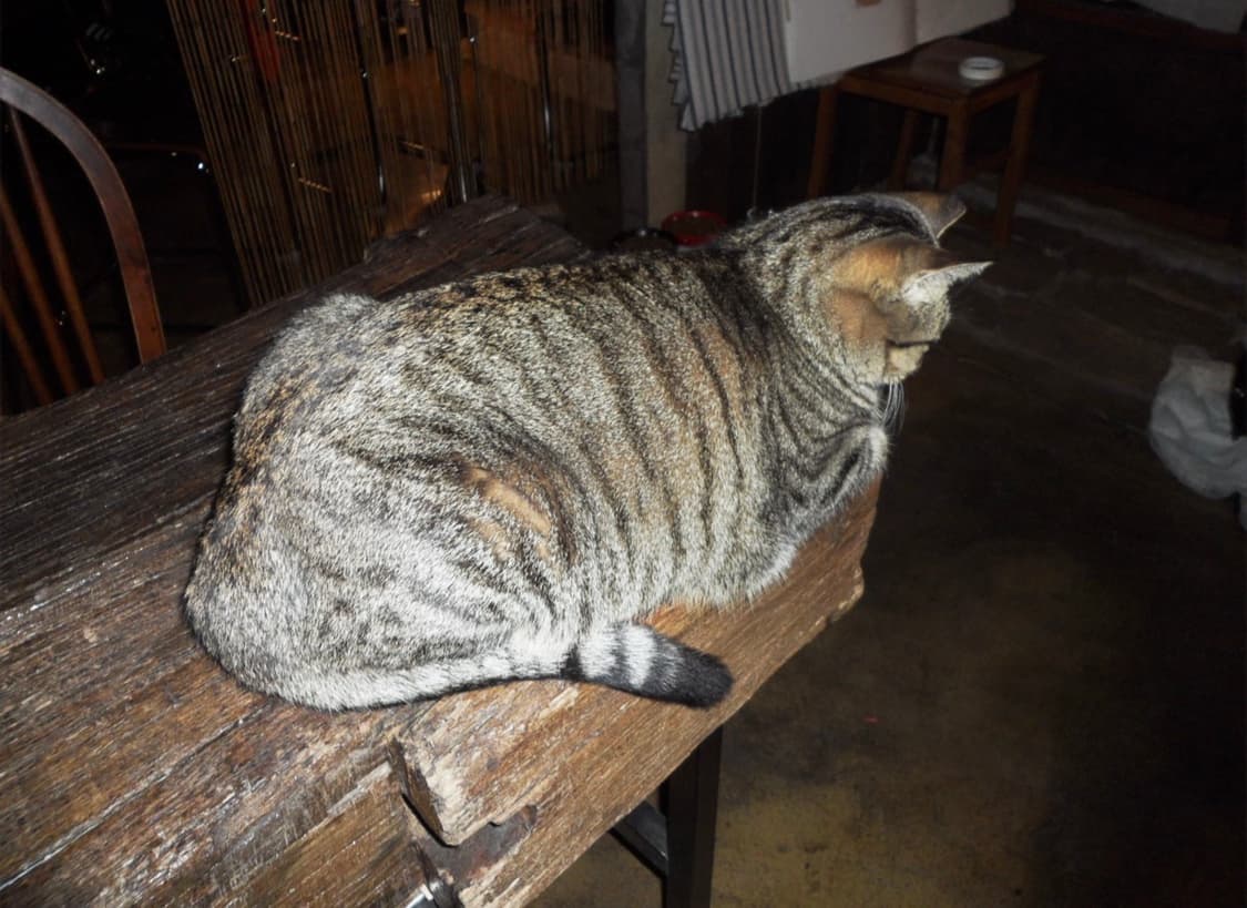 삼성 디지털 카메라 VLUU PL150 상품이미지8