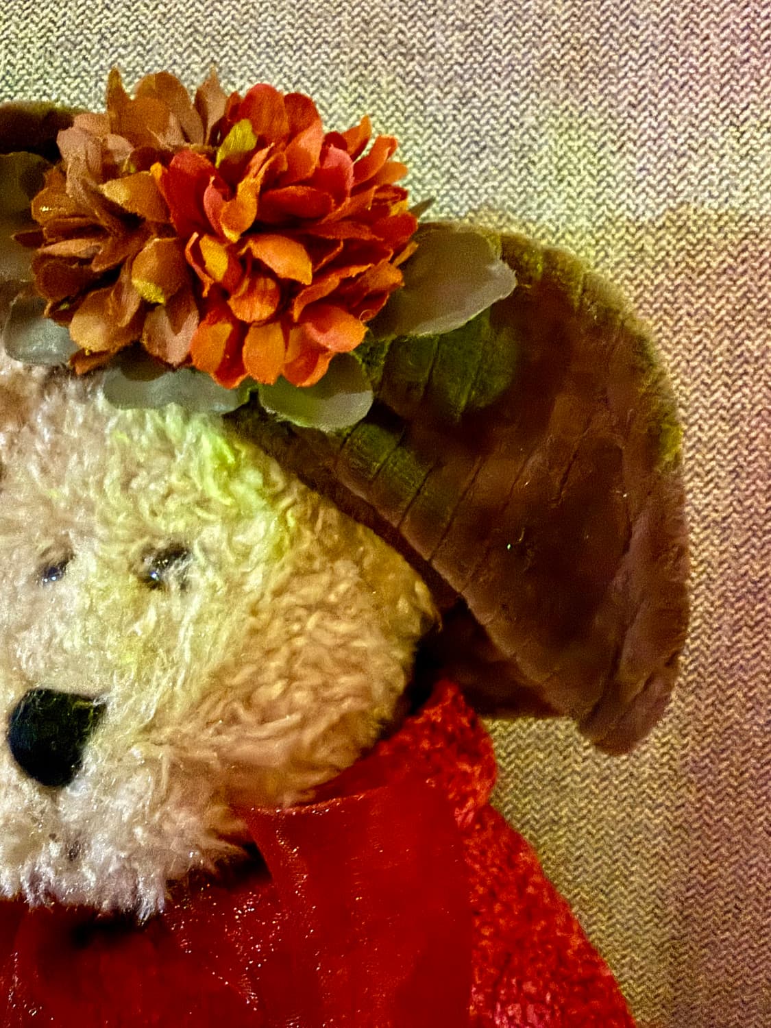 보이즈베어 곰인형 모자 쓴 테디베어 인형 상품이미지4