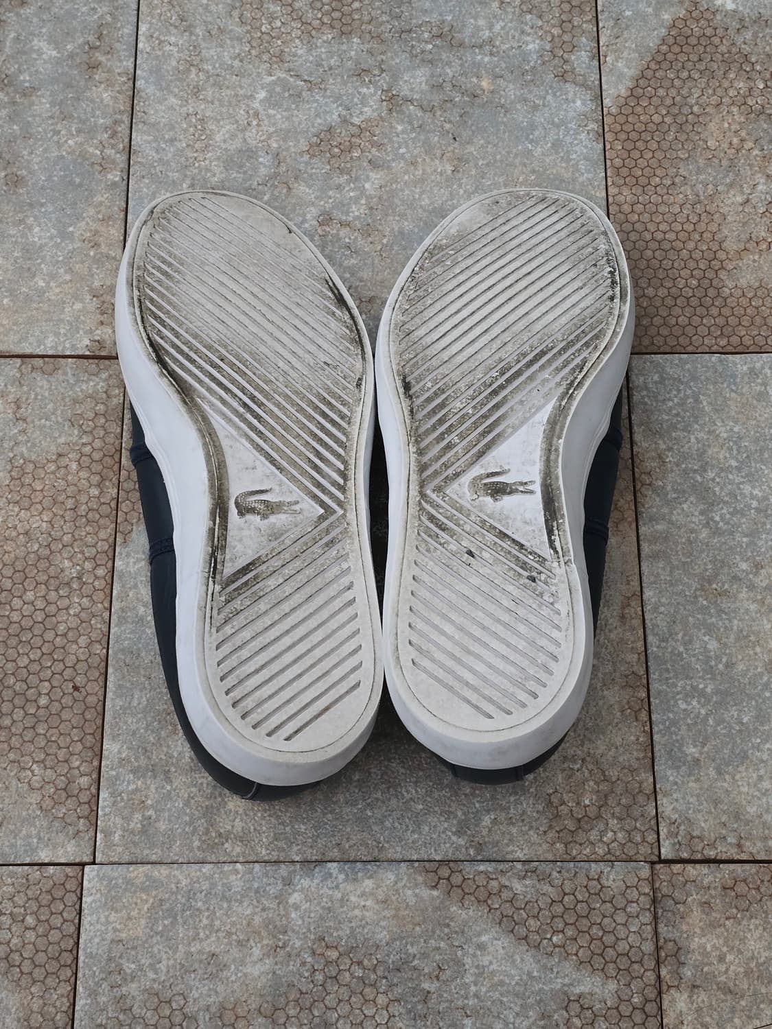 (230)라코스테 가존 네이비 슬립온 상품이미지9