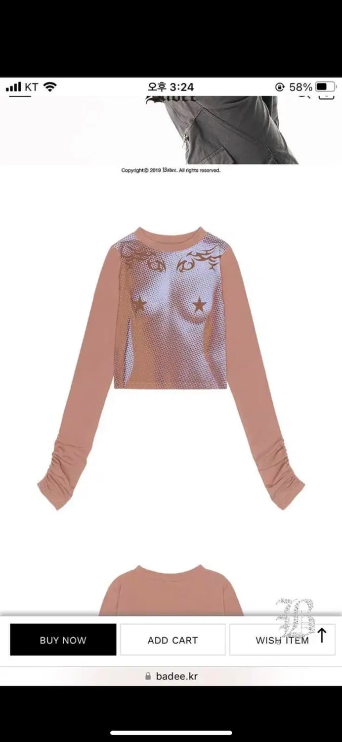 배디 BADEE 셔링 탑 HALFTONE MESH SHIRRING TOP 상품이미지2