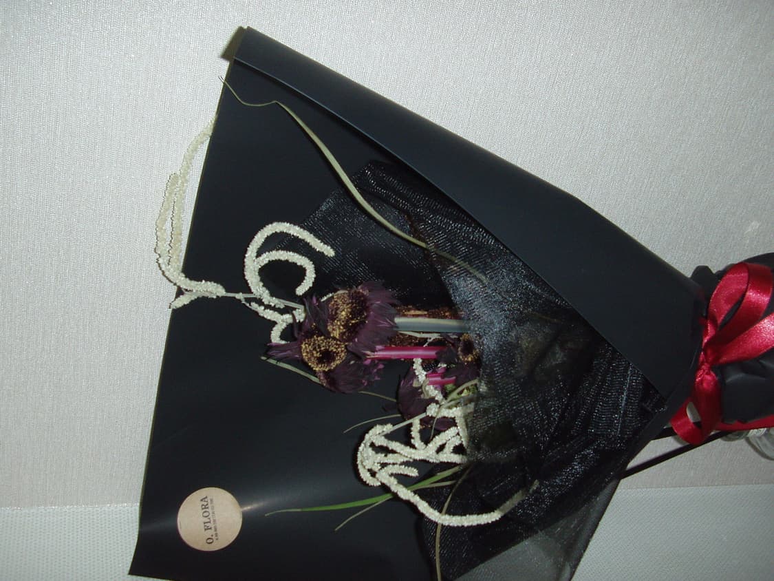 올림푸스 olympus az-1 빈티지 카메라 상품이미지9