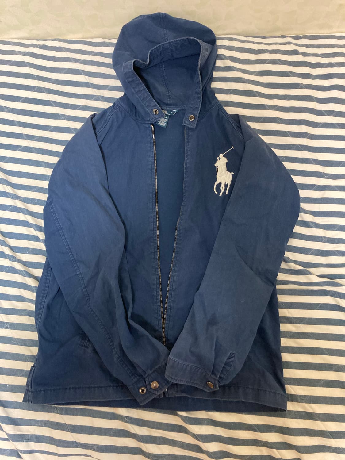 폴로 빅포니 상품이미지1