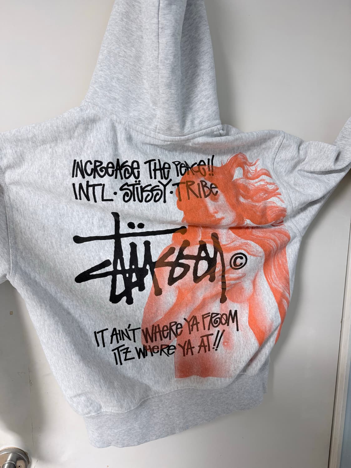 스투시 비너스 집업 M 상품이미지1