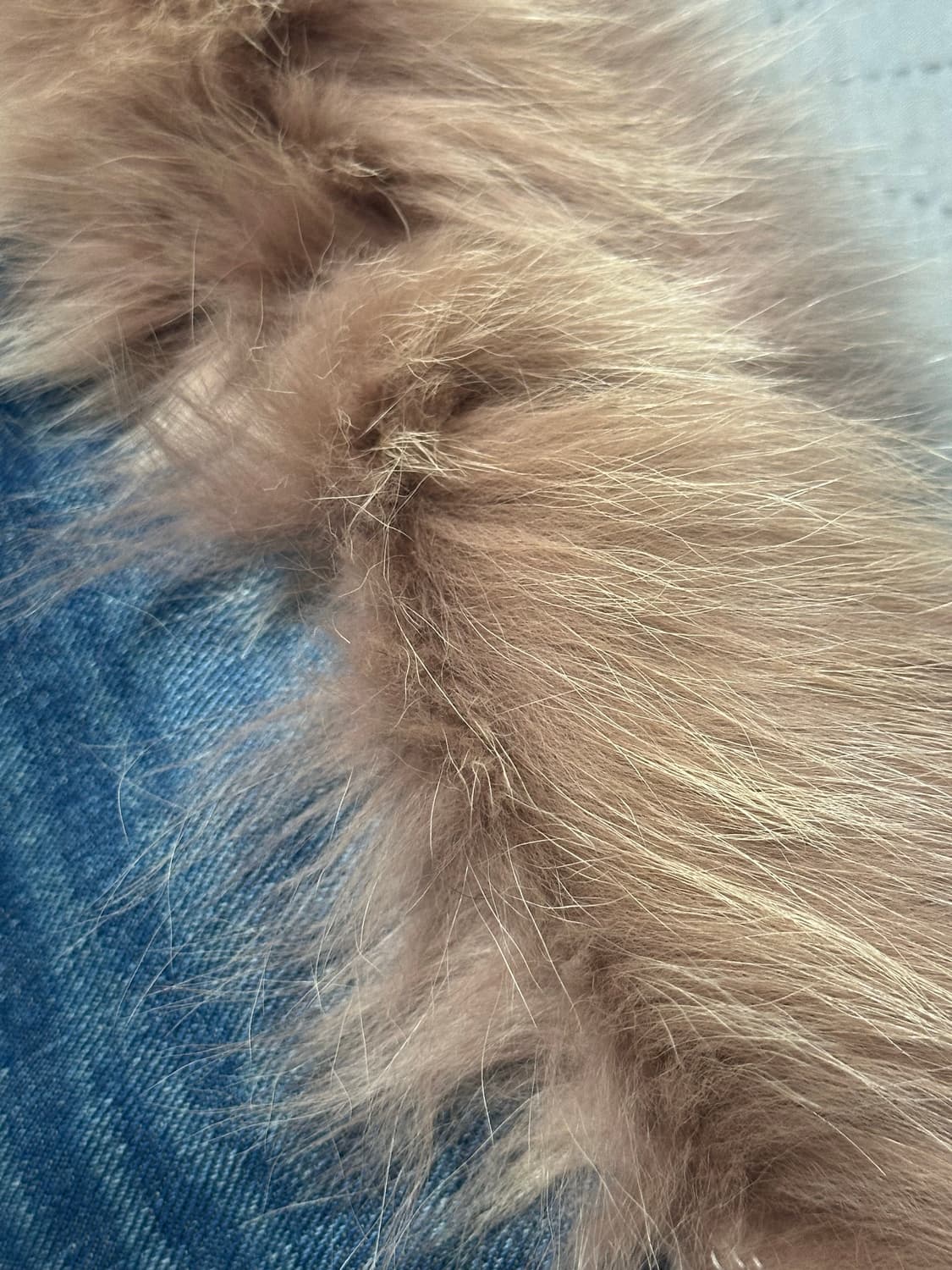 Edwin fur trimming skirt 퍼스커트 상품이미지4