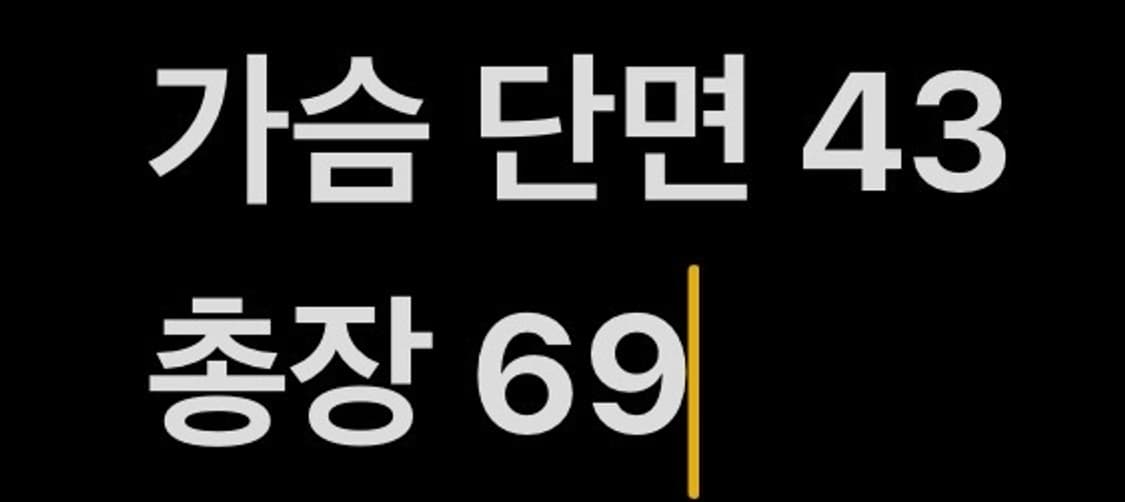 [ 정품/XL ] 버버리 브릿 체크 니트티 b14 상품이미지7