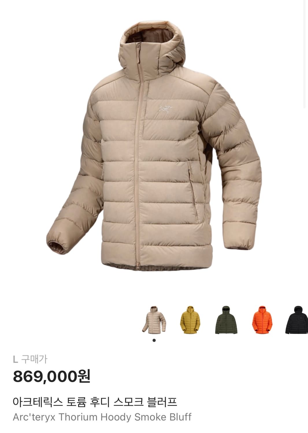 아크테릭스 토륨 스모크 블러프 / L 상품이미지1