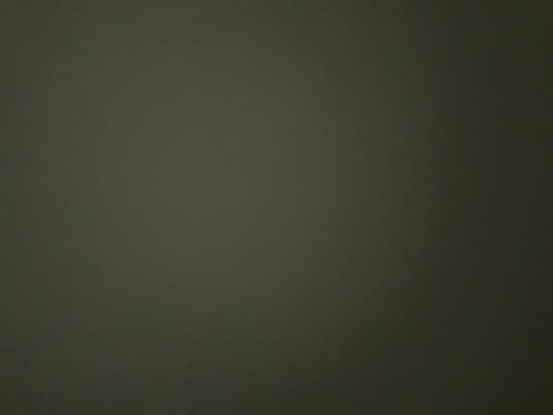 폴로 브리튼 패딩 상품이미지1