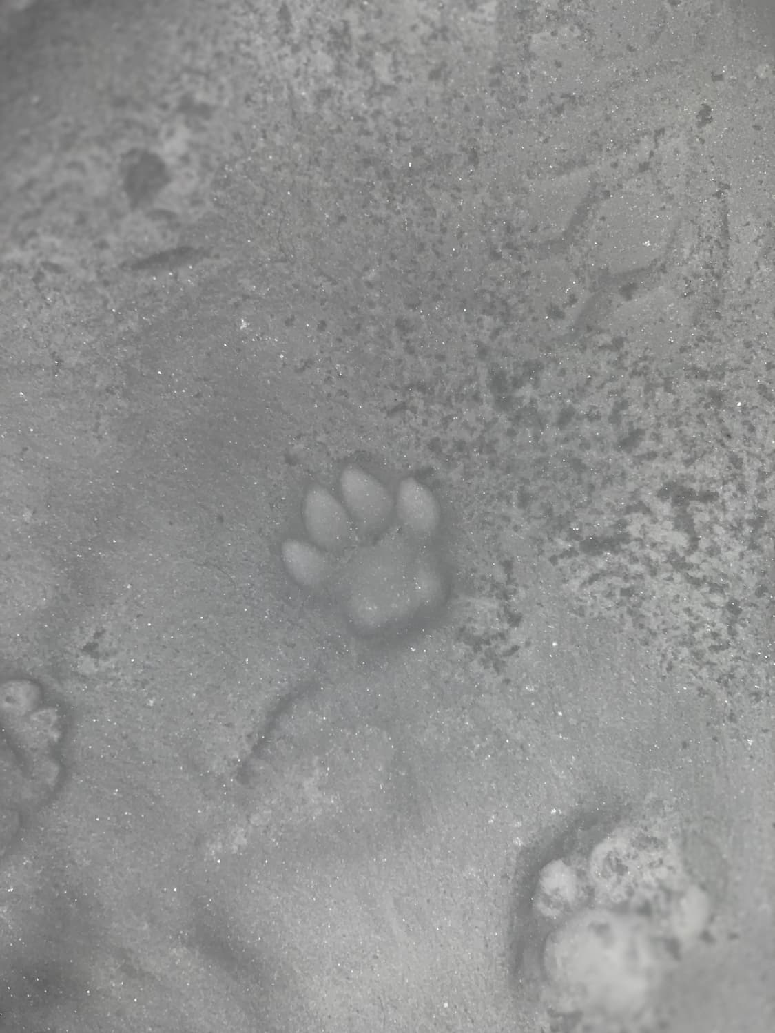 결제창 상품이미지1