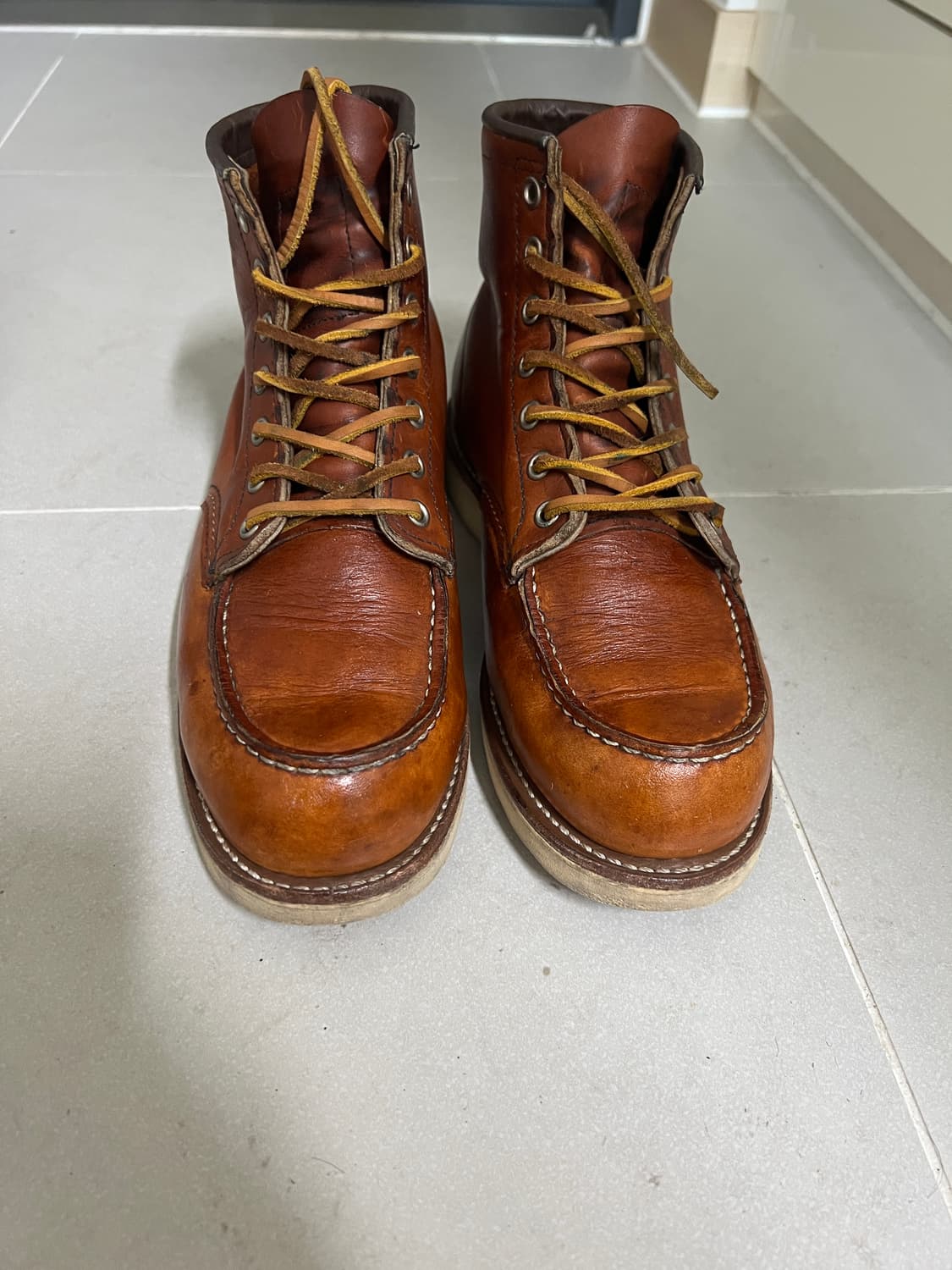 택포13) 레드윙 목토 875 7.5D 255 상품이미지1