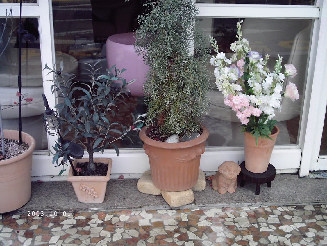 (작례 O) 폴라로이드 a500 디지털카메라 디카 상품이미지8