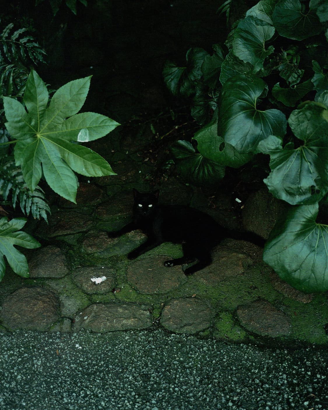 마츠무라 아키히로 사진집  - 영혼의 행방 (2002) 희귀서적 아트북  상품이미지4