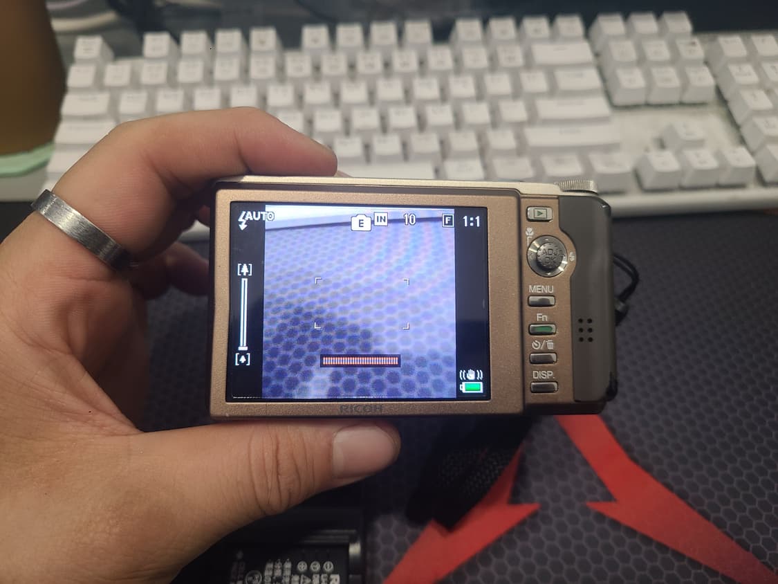 리코R10 브라운 판매 합니다 상품이미지2