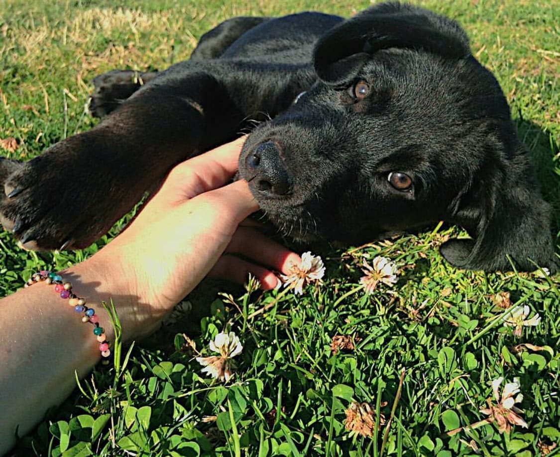 레인보우 마운틴 젬스톤 팔찌(무한 연결 스타일링) 상품이미지3