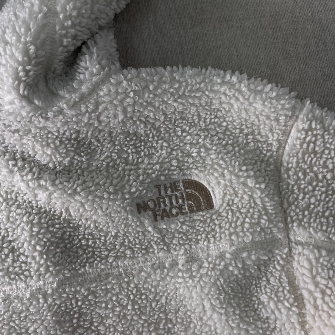 100 노스페이스 에코 플리스 후드집업 상품이미지5