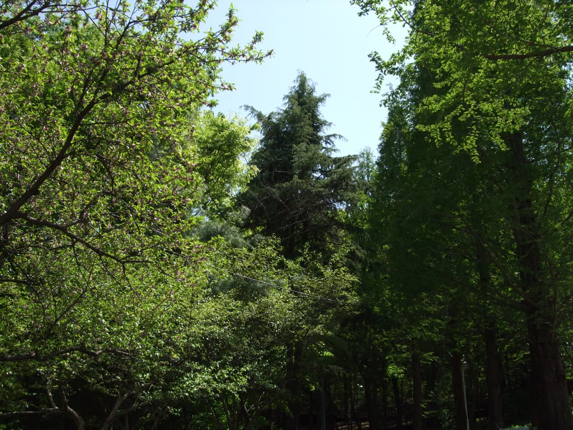 후지필름 파인픽스 F50FD 디카 디지털 카메라 상품이미지7