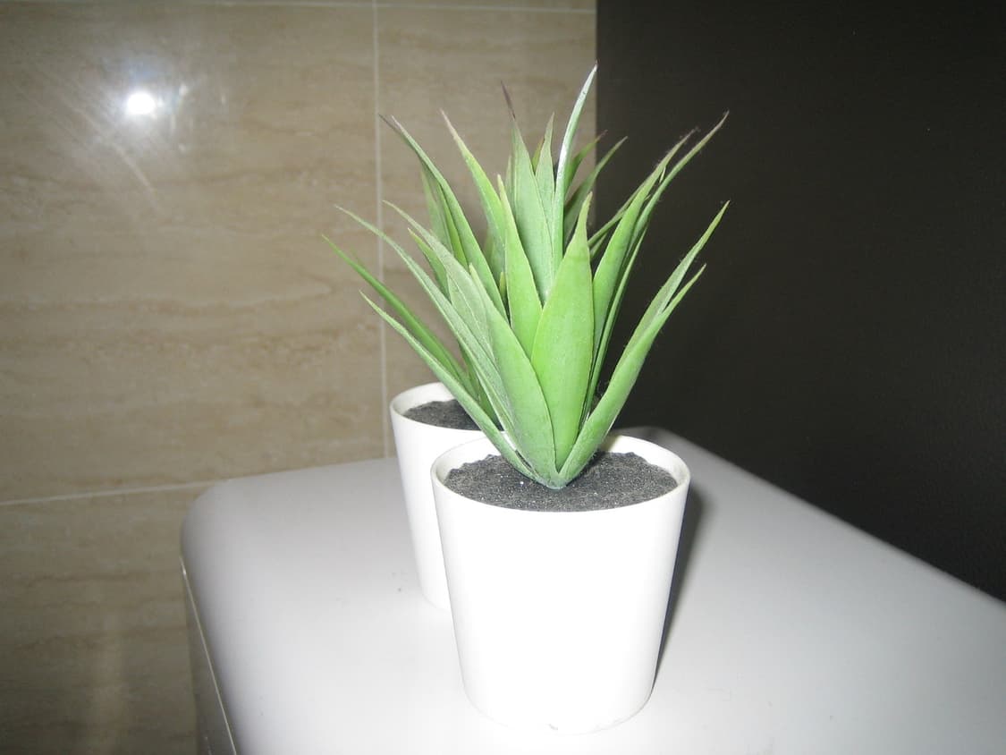 캐논 익서스 40 디카 상품이미지2